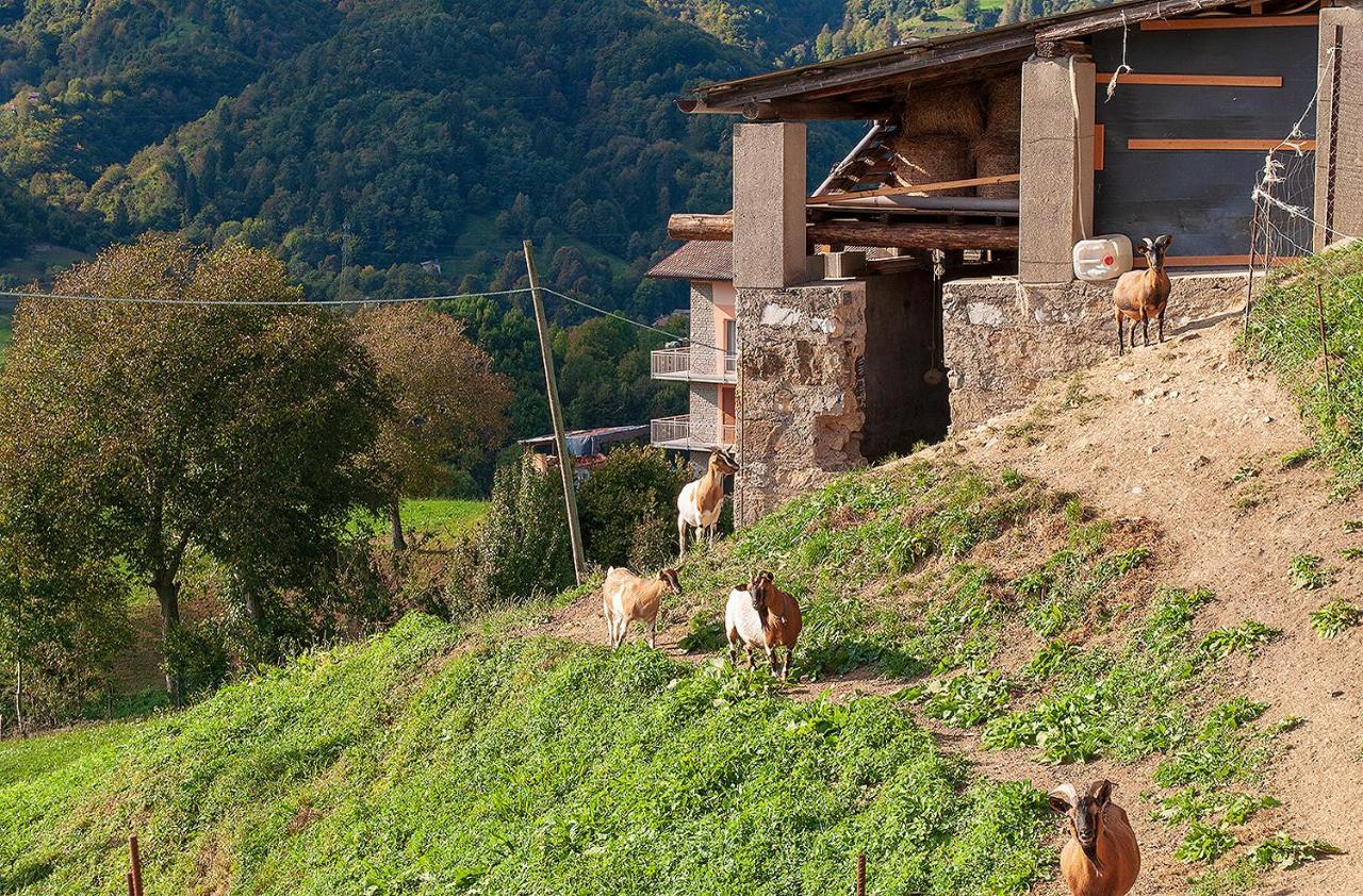 Bed &Breakfast Bellavista Bed & Breakfast San Giovanni Bianco Ngoại thất bức ảnh